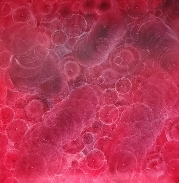 162